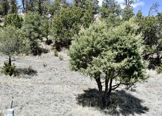 Property at Lot 31 Little Big Horn Rd, Alto, NM 88312