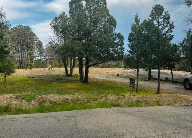 Property at 113 Crown Ridge Rd Rd, Alto, NM 88312