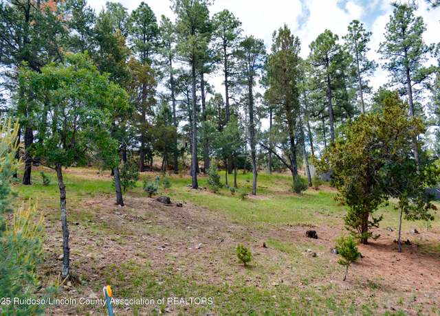 Property at 215 Midiron Dr #5, Alto, NM 88312