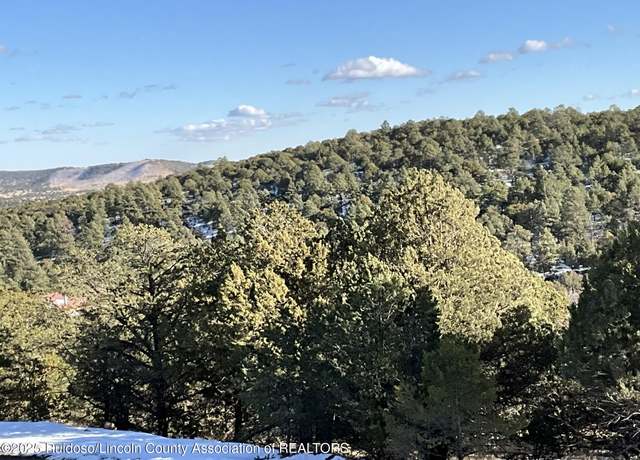 Property at Lt 36 Blk3 Sulkey Ct #3, Nogal, NM 88341
