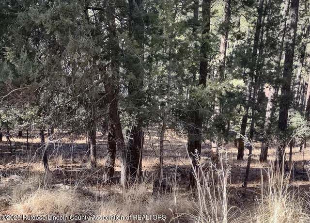 Property at 154 Midiron Dr, Alto, NM 88312