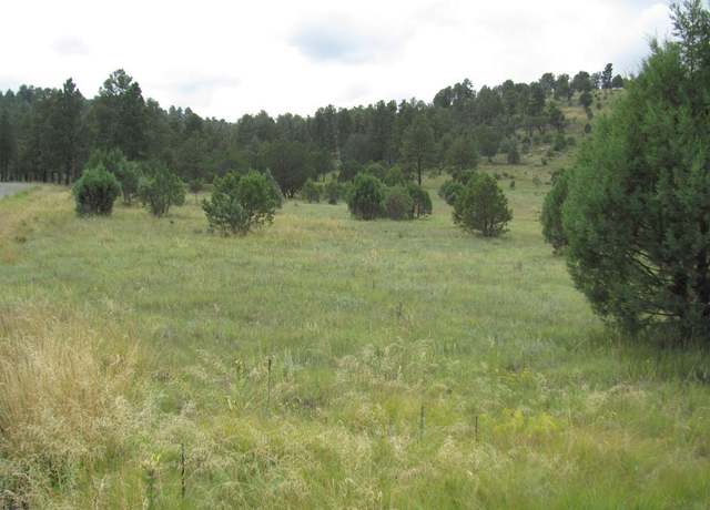 Property at 134 Deer Valley Dr, Alto, NM 88312