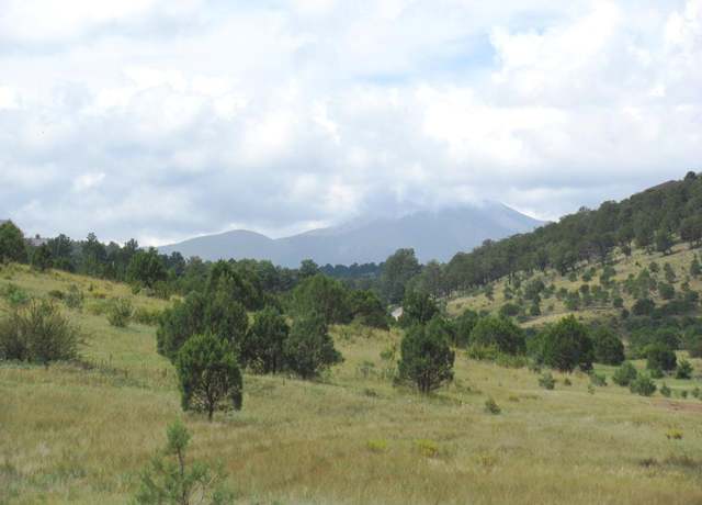 Property at 104 Kit Fox, Alto, NM 88312