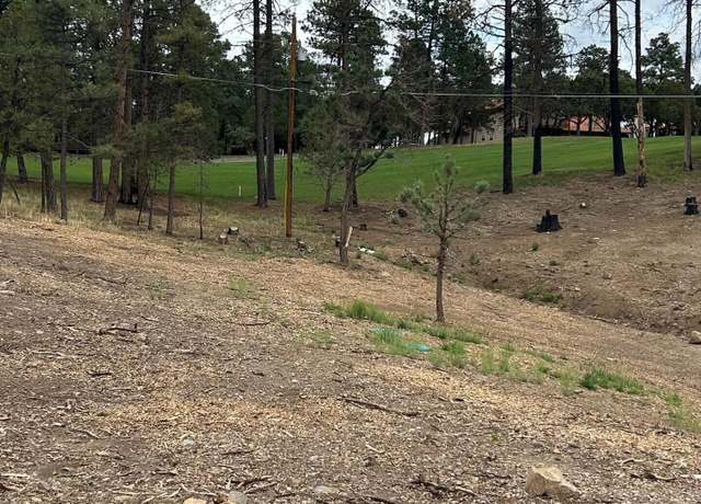 Property at 133 Crown Ridge Rd, Alto, NM 88312