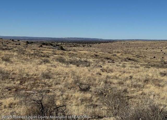 Property at Lot 115 Starbright Ln, Ancho, NM 88301