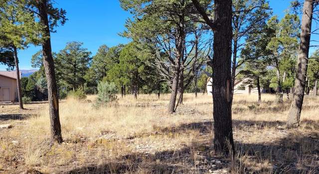 Photo of 106 Lakeview Ct, Ruidoso, NM 88345