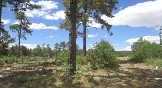 Photo of 280 Indian Divide Rd, Capitan, NM 88316