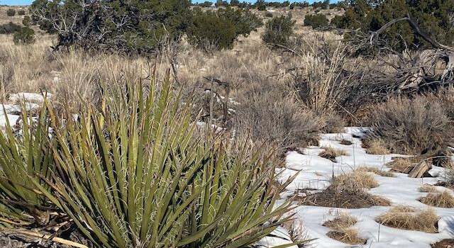 Photo of 211 Windmill Rnch, Ancho, NM 88301