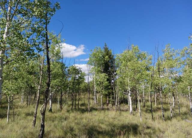 Property at 180 N Quarter Horse Rd, Como, CO 80432