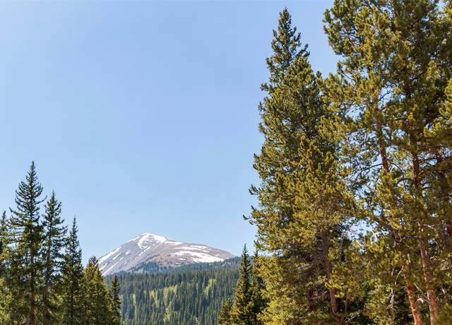 Property at 316 Tordal Way, Breckenridge, CO 80424