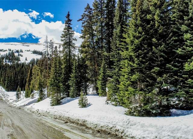 Property at 233 Camron Ln, Breckenridge, CO 80424