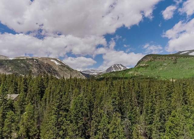 Property at 503 Golden Hills Rd, Alma, CO 80420