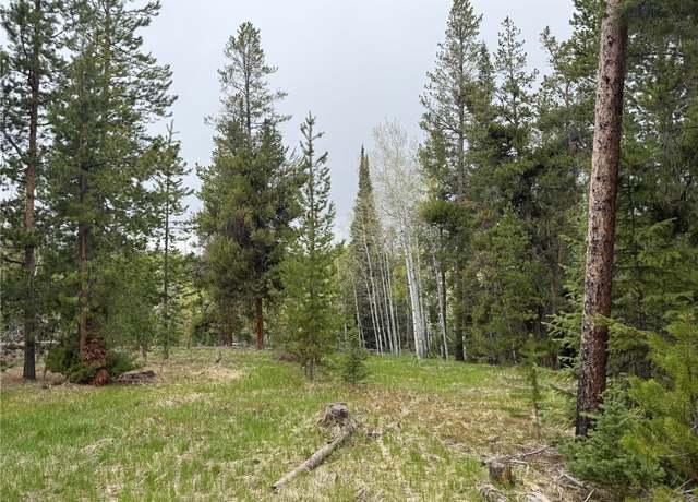 Property at 33435 Filly Trl, Oak Creek, CO 80467