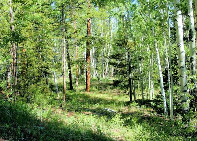 Property at 0 Kens Rd, Fairplay, CO 80440