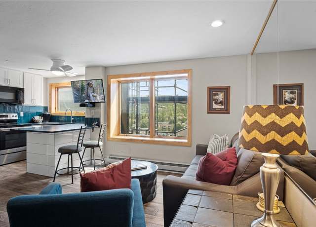 Property at 535 S Park Ave #4710, Breckenridge, CO 80424, 1 bath