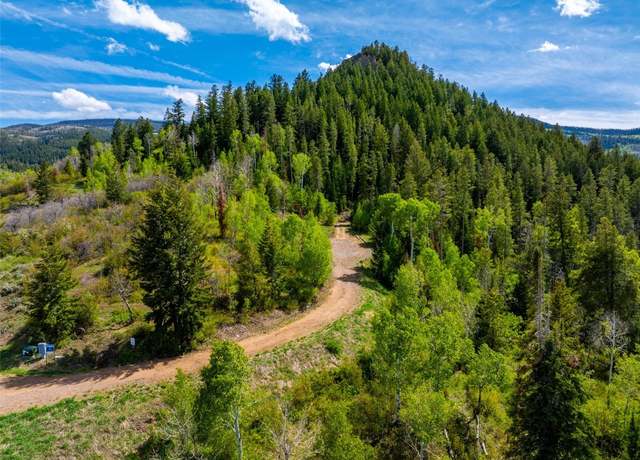 Property at TBD Youngs Creek Way, Oak Creek, CO 80467