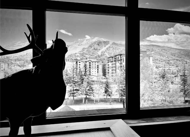 Property at 2300 Mount Werner Cir #224, Steamboat Springs, CO 80487, 1 bed, 2 baths