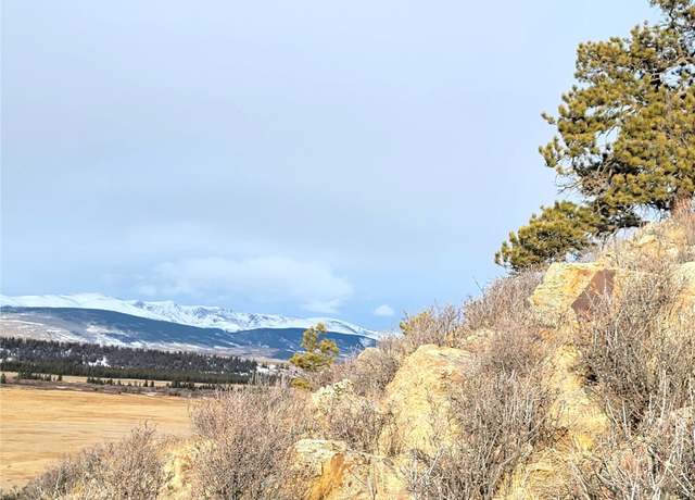 Property at 337 Redhill Rd, Fairplay, CO 80440