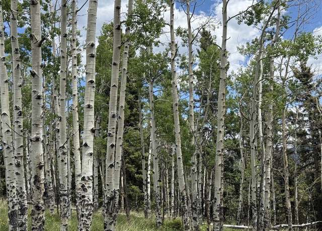 Property at 28 Como St, Como, CO 80432