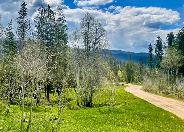 Property at 20685 Cinch Trl, Oak Creek, CO 80467