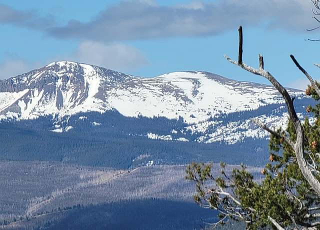 Property at 1411 Middle Fork Vis, Fairplay, CO 80440
