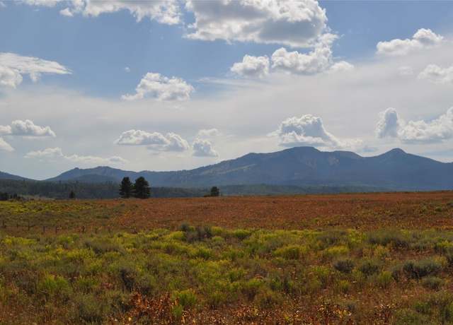 Property at 60810 Parkside Dr, Clark, CO 80428