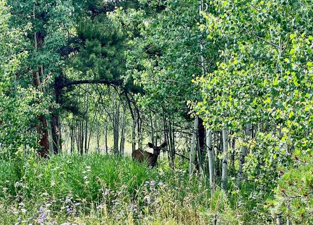 Property at TBD Halter Trl, Oak Creek, CO 80467
