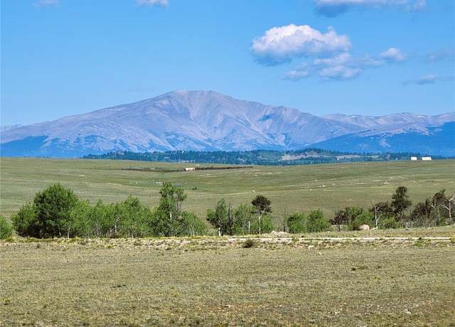 Property at 452 Grand Teton Dr, Hartsel, CO 80449