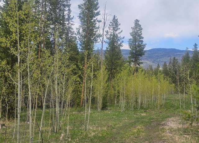 Property at 20850 Mustang Way, Oak Creek, CO 80467