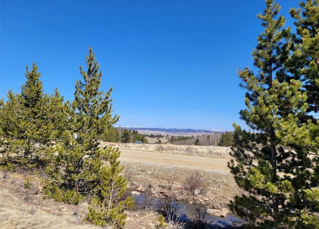 Property at 395 Wild Rye Rd, Fairplay, CO 80440