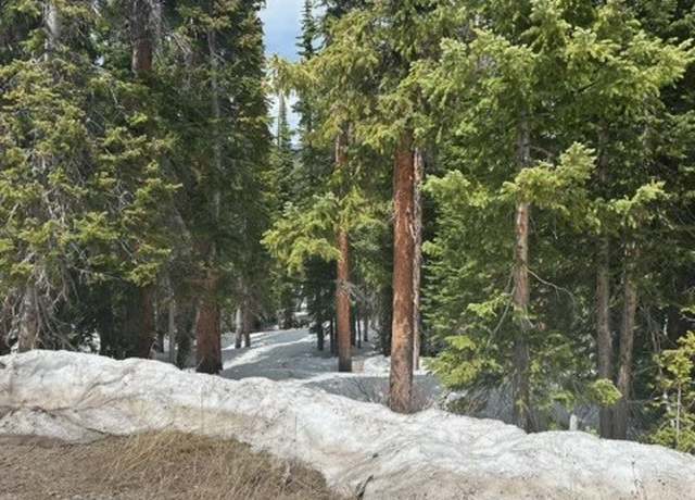 Property at 584 Camron Ln, Breckenridge, CO 80424
