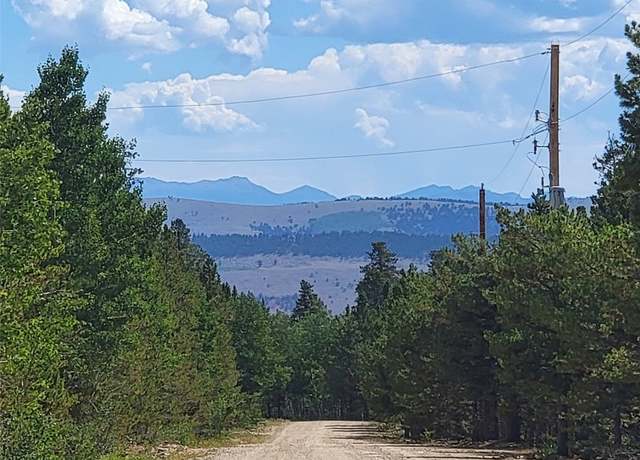 Property at 544 Circle 73 Dr, Fairplay, CO 80440