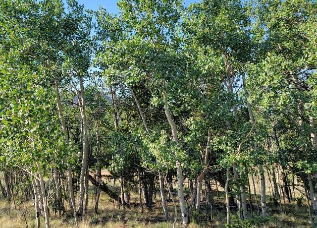 Property at 431 Arrowhead Dr, Como, CO 80432