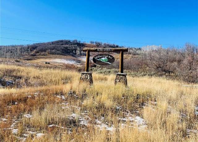 Property at 27250 Frisco Pl, Clark, CO 80428
