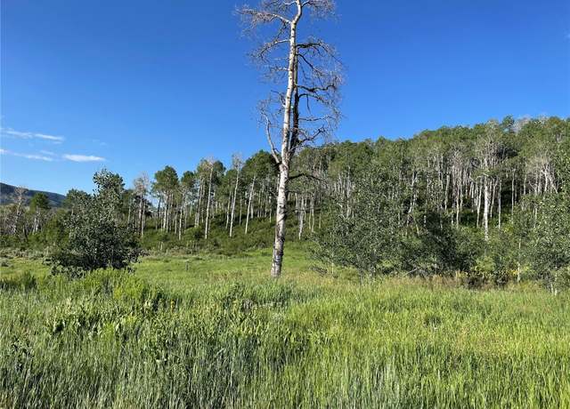 Property at 27200 Frisco Pl, Clark, CO 80428