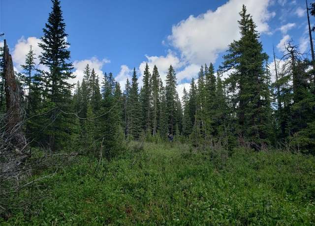 Property at 586 El Lobo Ln, Fairplay, CO 80440