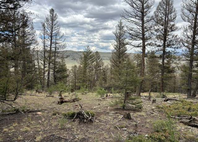 Property at TBD Middle Fork Vis, Fairplay, CO 80440