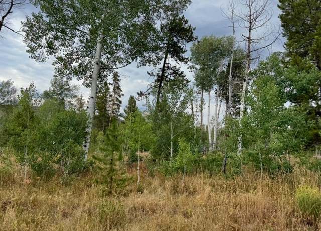 Property at Lot 200 Fargo Way, Oak Creek, CO 80467
