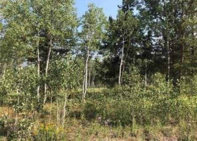 Property at Lot 28 Haywagon Trl, Oak Creek, CO 80467