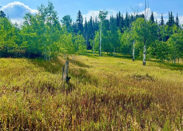 Property at 32556 Ute Trl, Oak Creek, CO 80467