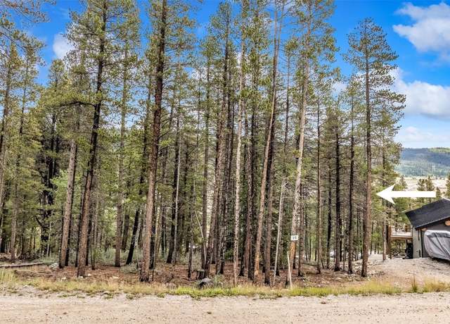Property at 158 N Aspen St, Alma, CO 80420