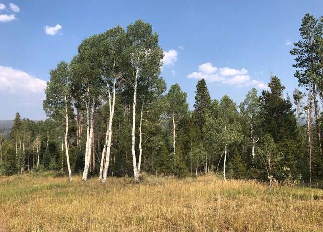 Property at Lot 52 Colt Trl, Oak Creek, CO 80467