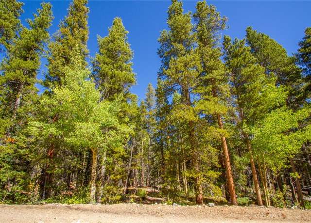 Property at 154 Georges Way Way, Alma, CO 80420