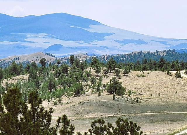 Property at 1051 Arapahoe Trl, Hartsel, CO 80449
