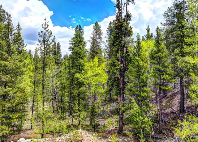 Property at 336 Venture Rd, Fairplay, CO 80440