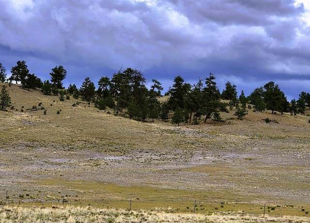 Property at 1101 Superstition Trl, Hartsel, CO 80449