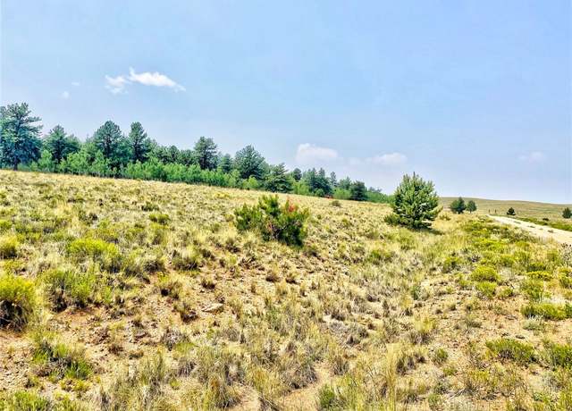 Property at 887 Superstition Trl, Hartsel, CO 80449