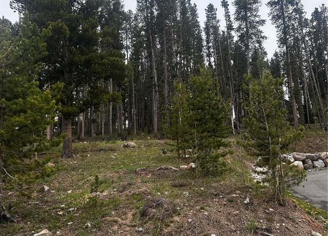 Property at TBD American Way, Breckenridge, CO 80424