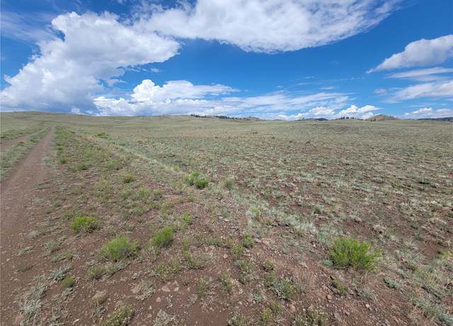 Property at 8513 CO, Hartsel, CO 80820