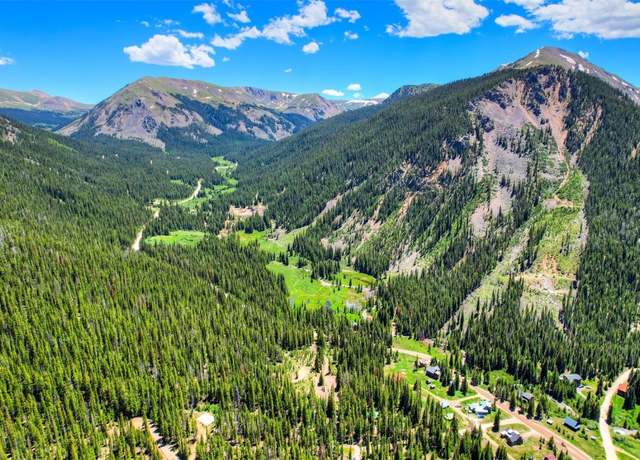 Property at TBD/Q Milner St, Montezuma, CO 80435